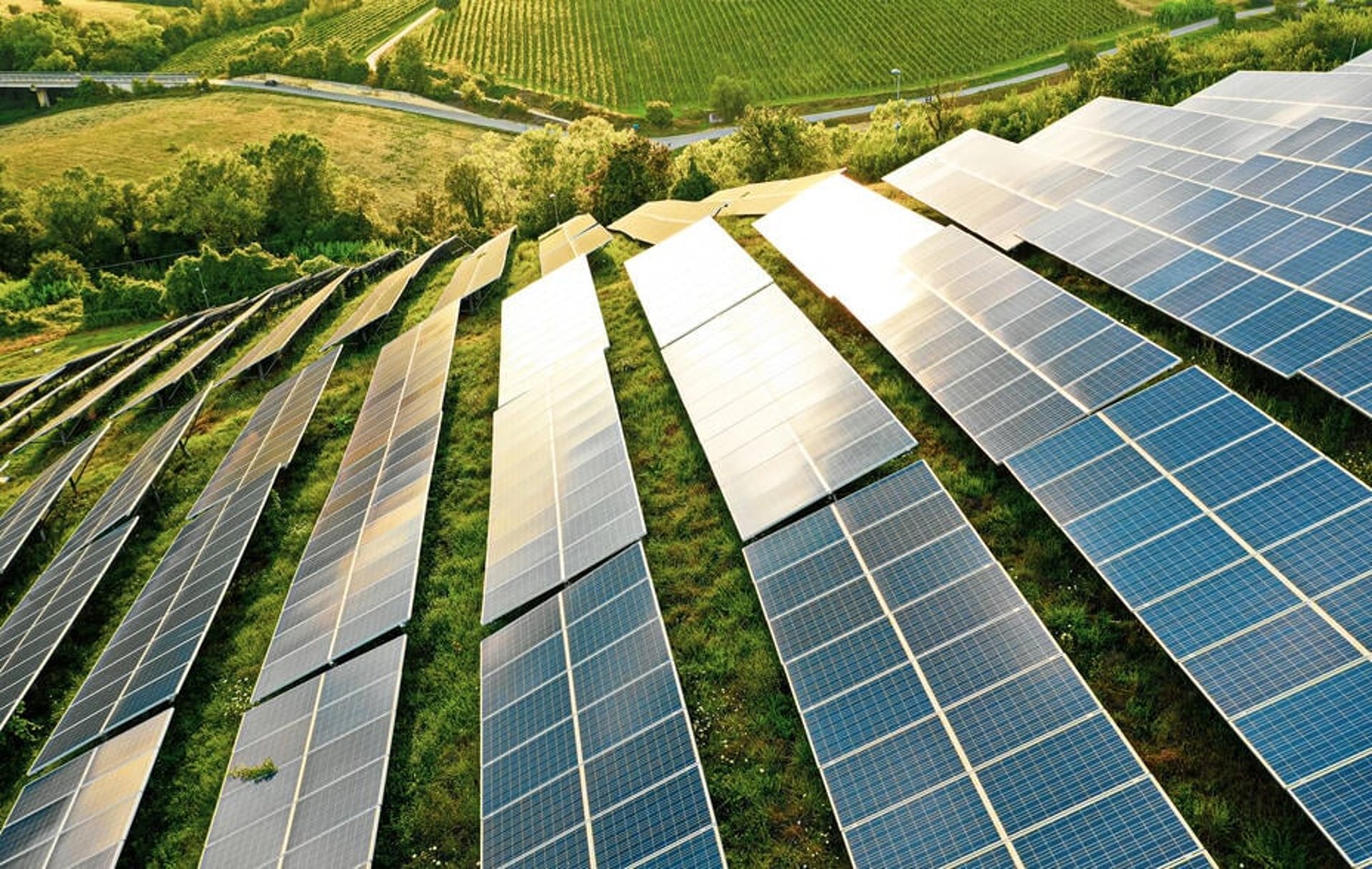 A field of solar panels