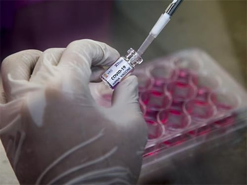 A gloved hand holds a vial labeled "COVID-19" in a laboratory setting. A pipette is being used to extract or dispense liquid from the vial. In the background, there is a cell culture tray with multiple wells containing a pinkish liquid.